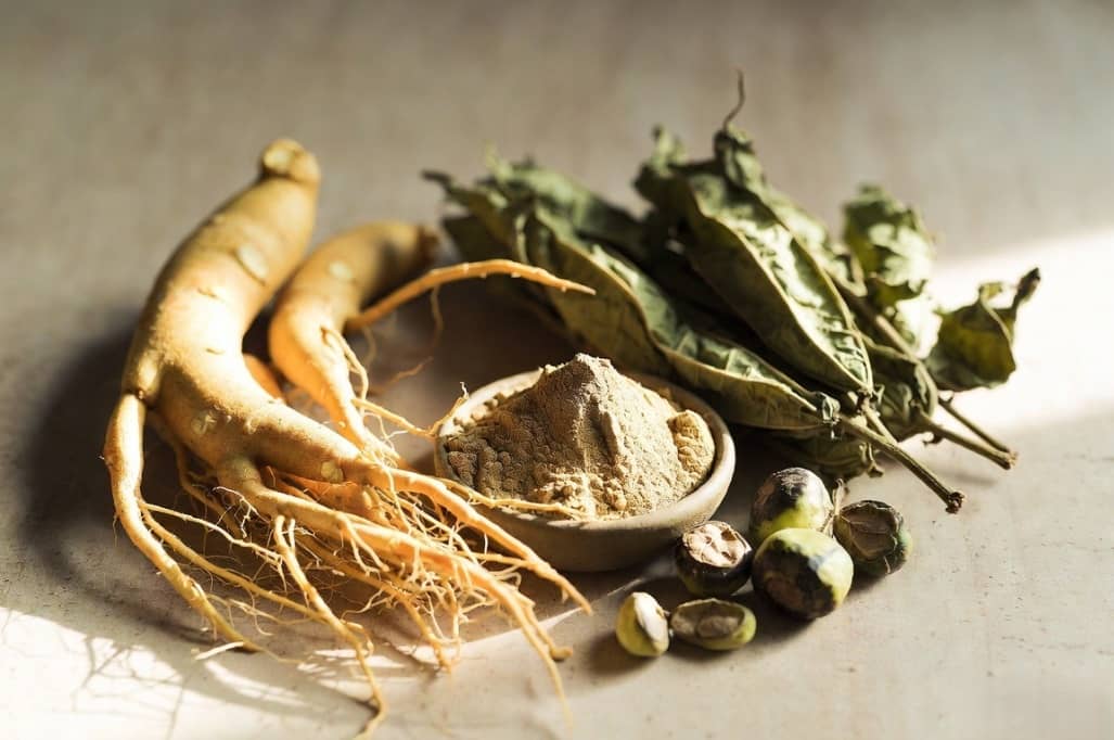 Natural herbal ingredients used in herbal Viagra supplements including ginseng root and horny goat weed