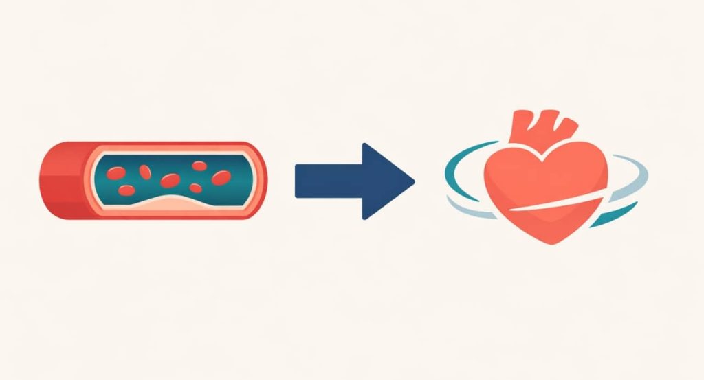 Diagram showing how daily low dose sildenafil supports blood vessel health and endothelial function